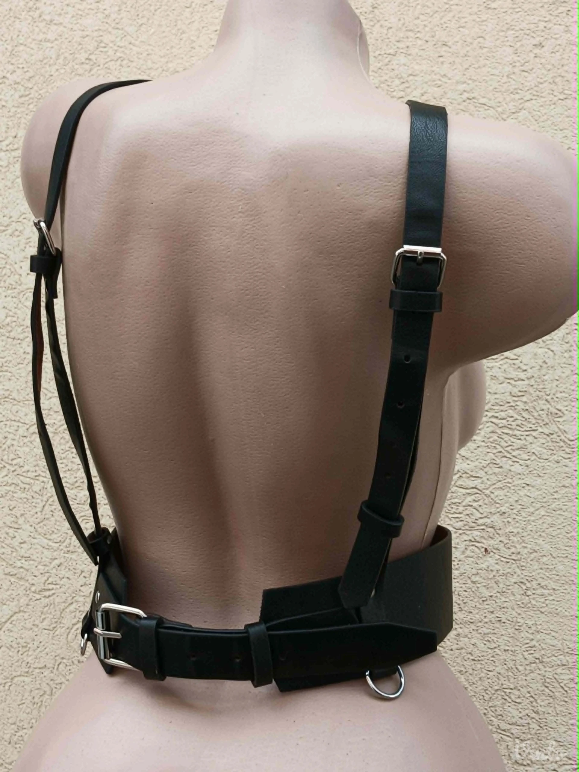 Harness