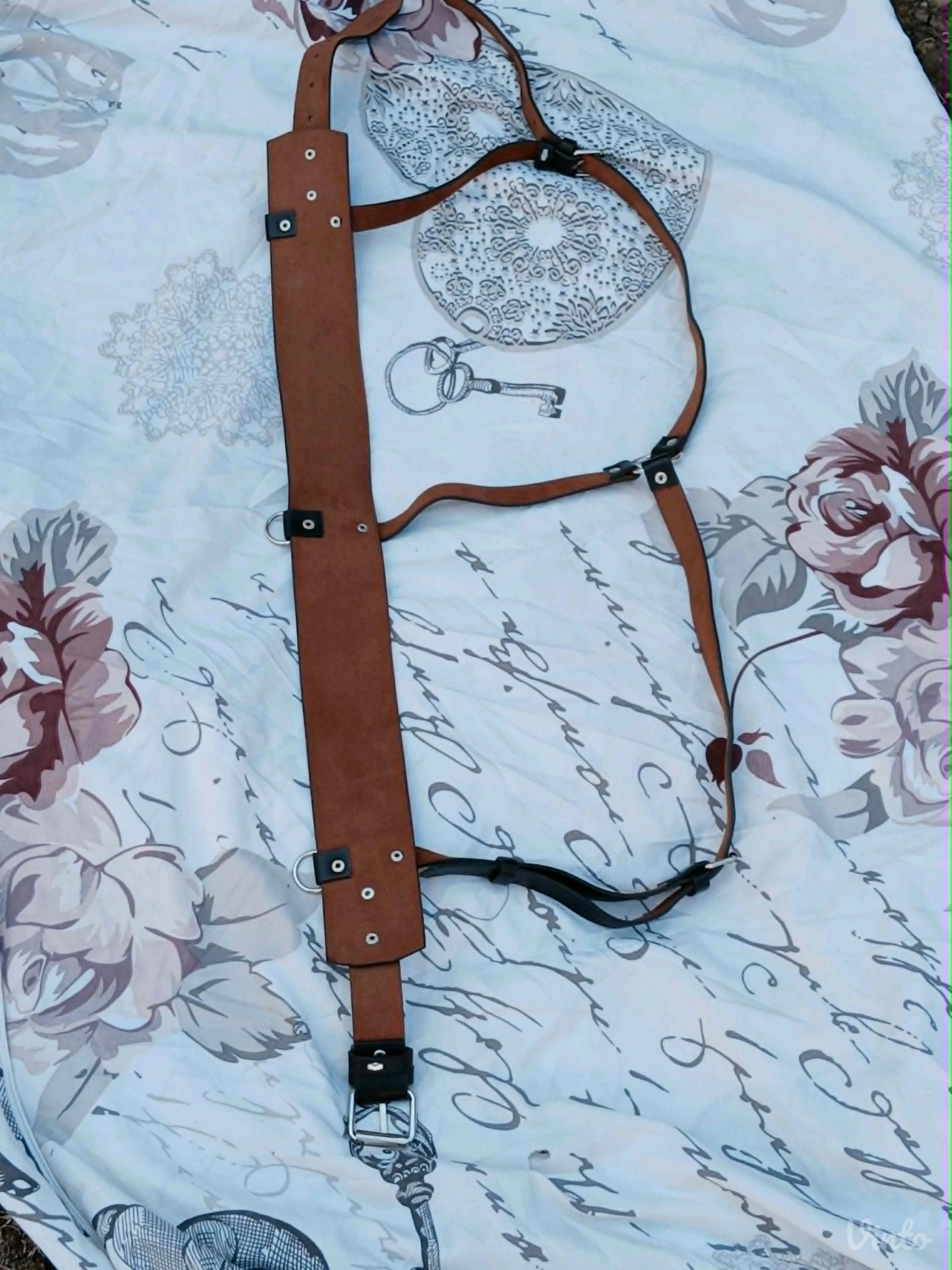 Harness