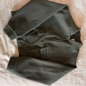 Prolecna maslinasto zelena jaknica