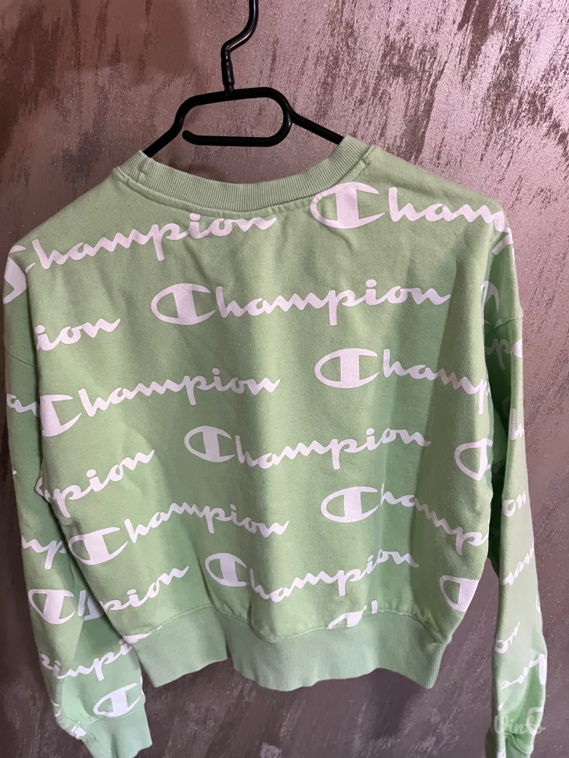 Champion duks