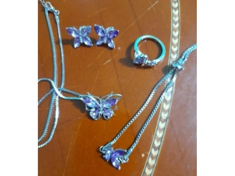 Luksuzan set nakita Leptir 4 u 1 | NOVO