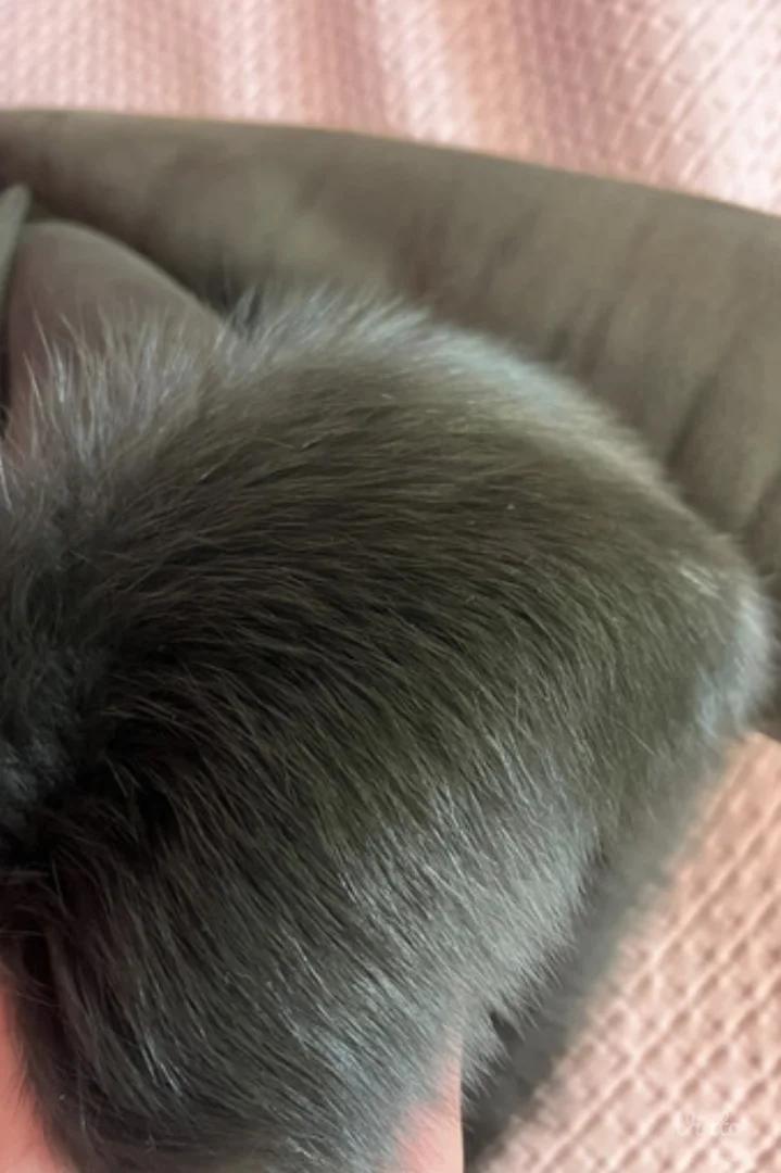 Monton od prirodnog krzna