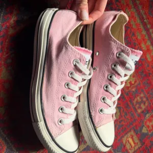 Starke plitke roze 39