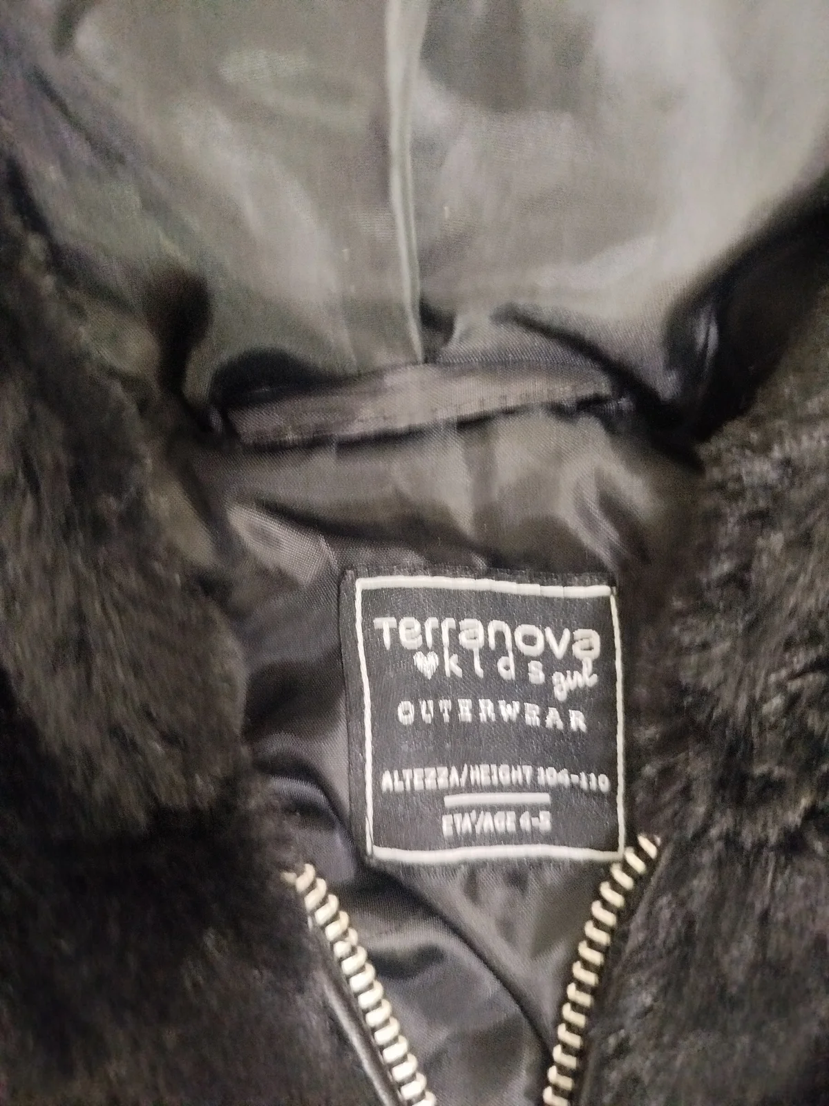 Terranova bundica