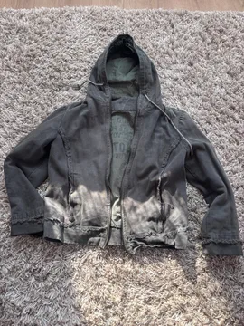 Diesel jaknica