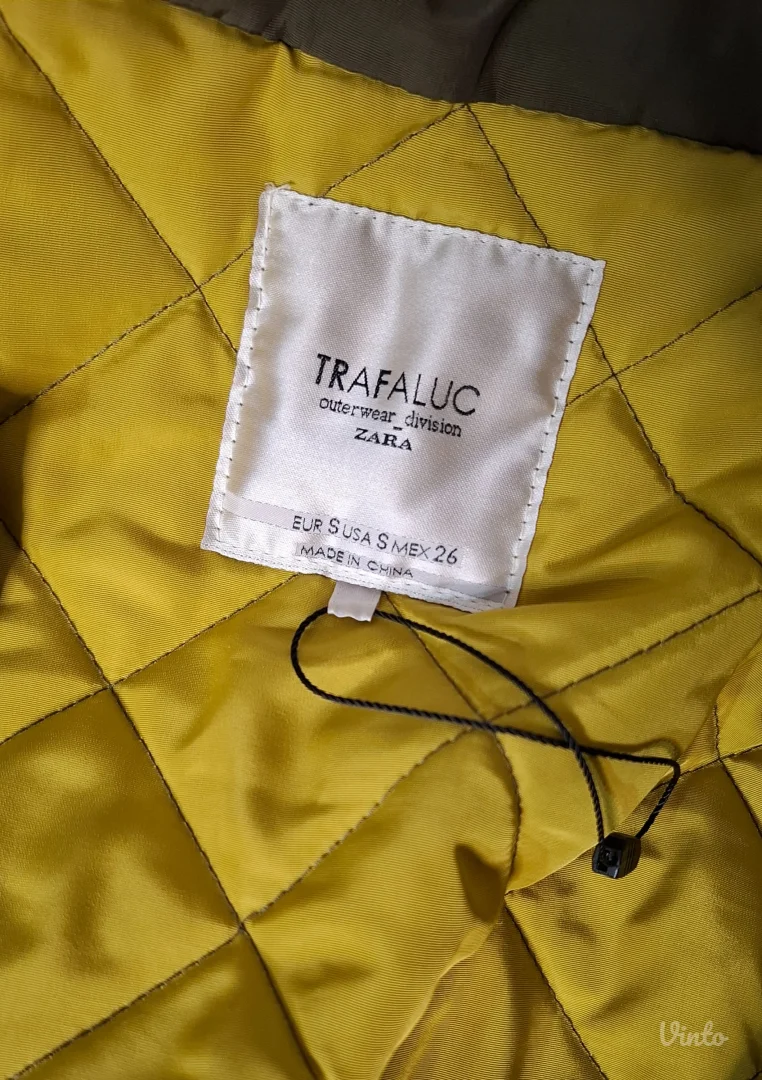 Zara maslinasta jaknica