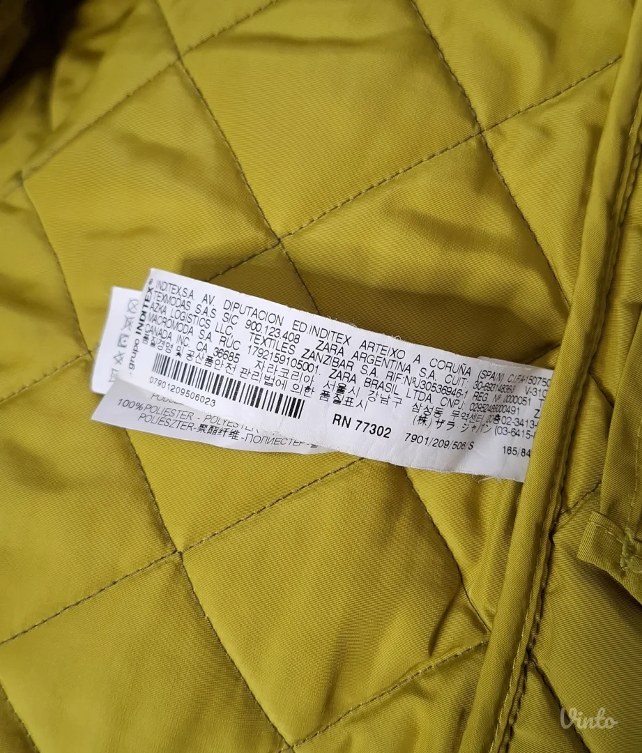 Zara maslinasta jaknica