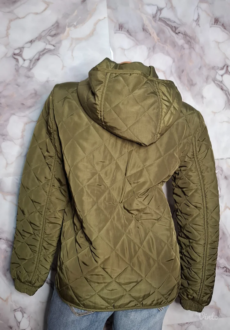 Zara maslinasta jaknica