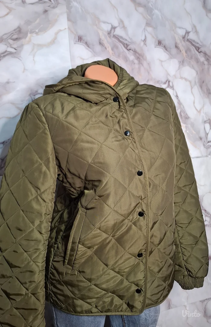 Zara maslinasta jaknica