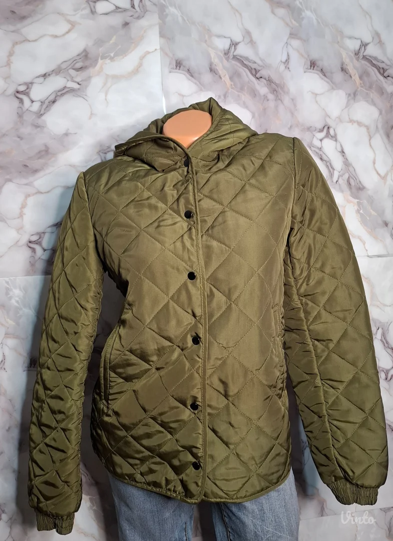 Zara maslinasta jaknica