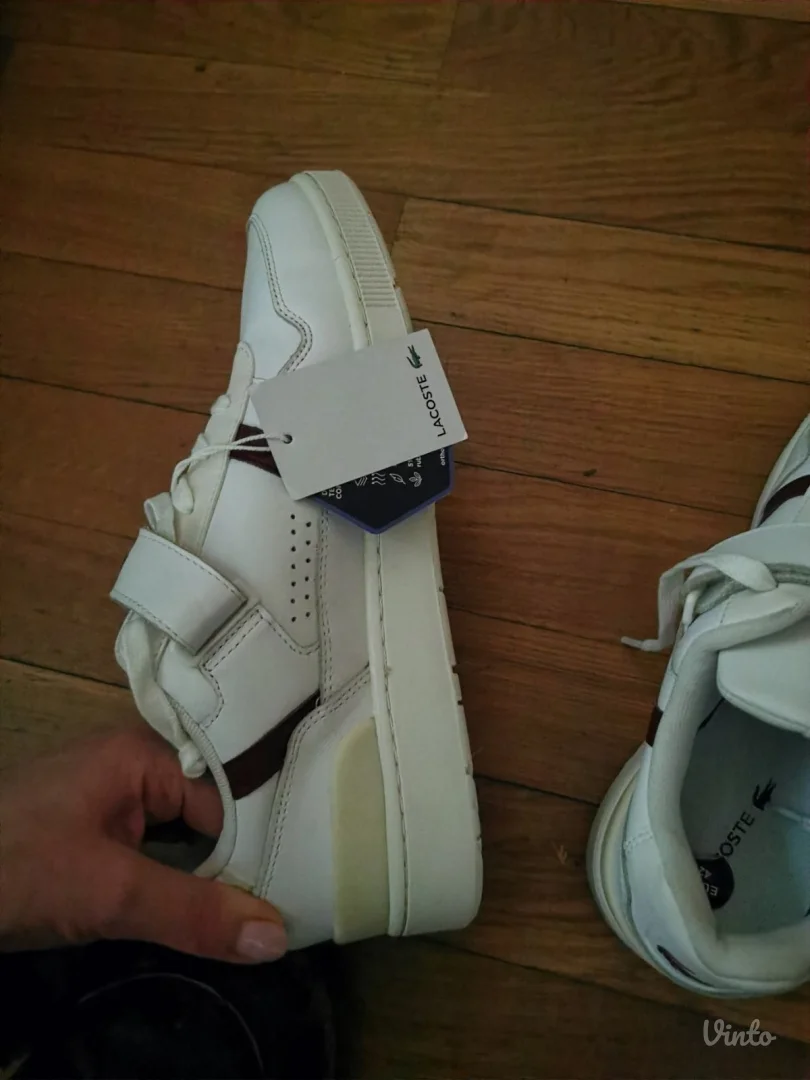 Lacoste T-clip muške patike