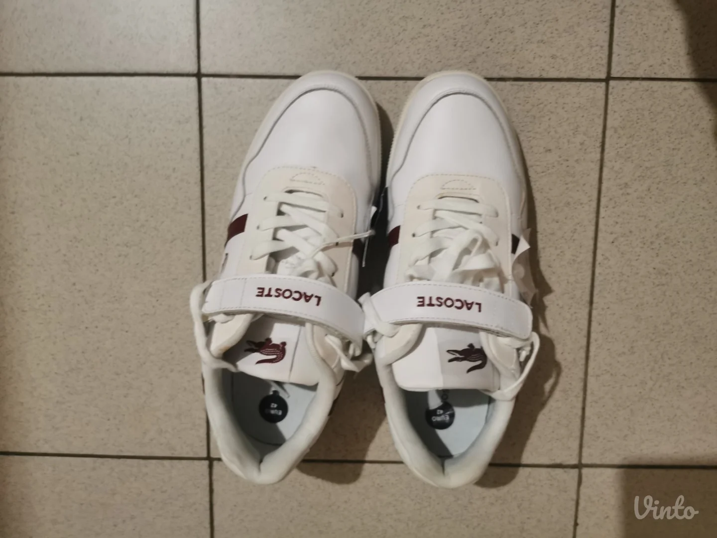 Lacoste T-clip muške patike