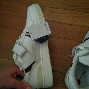 Lacoste T-clip muške patike