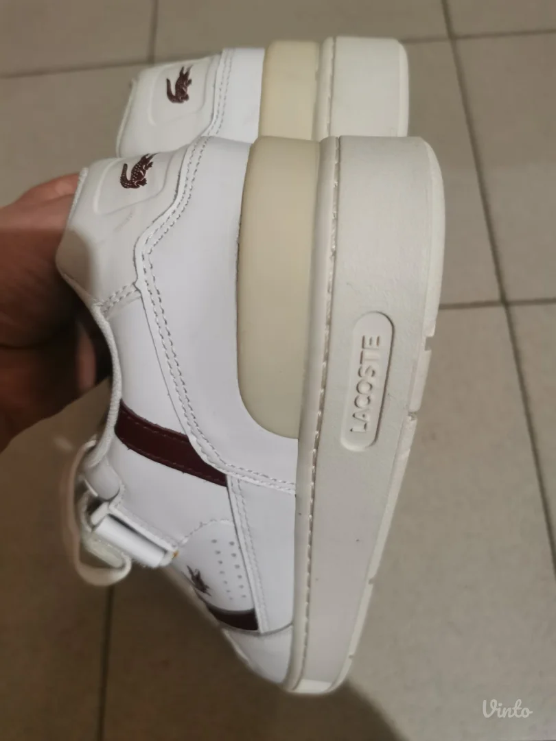 Lacoste T-clip muške patike