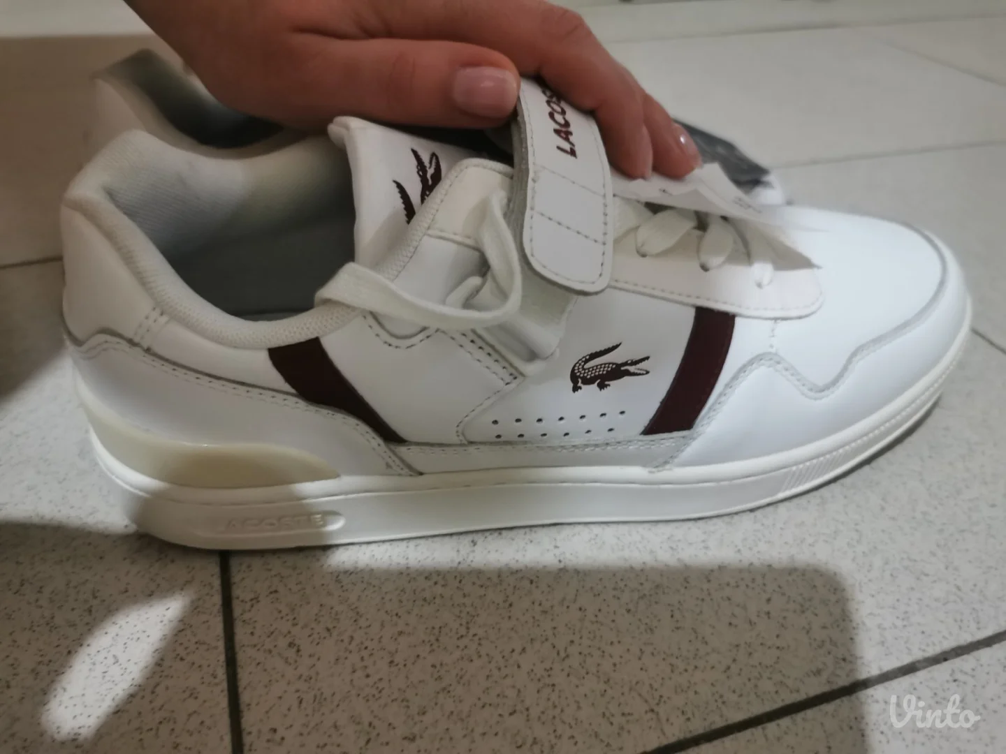 Lacoste T-clip muške patike