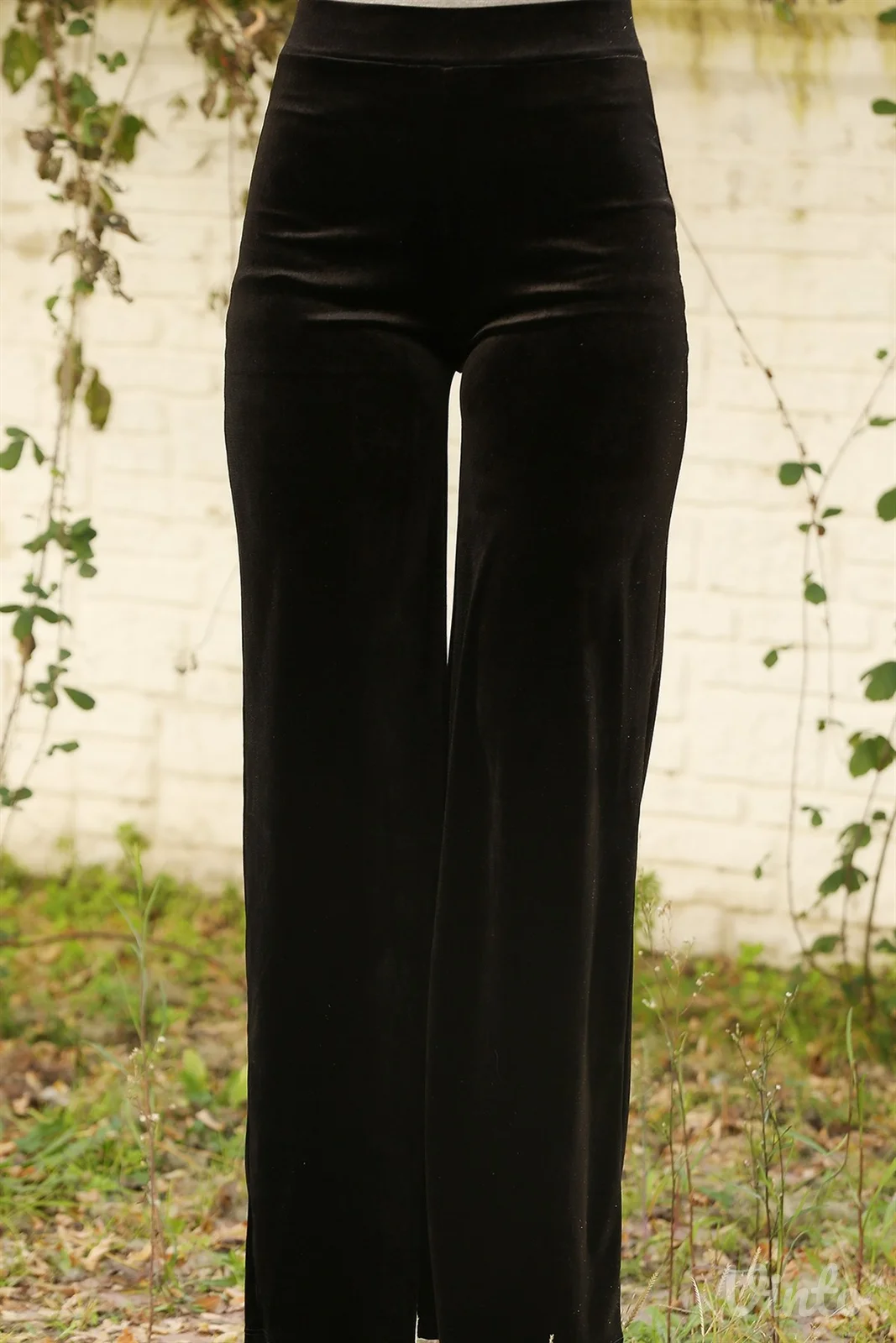 pantalone