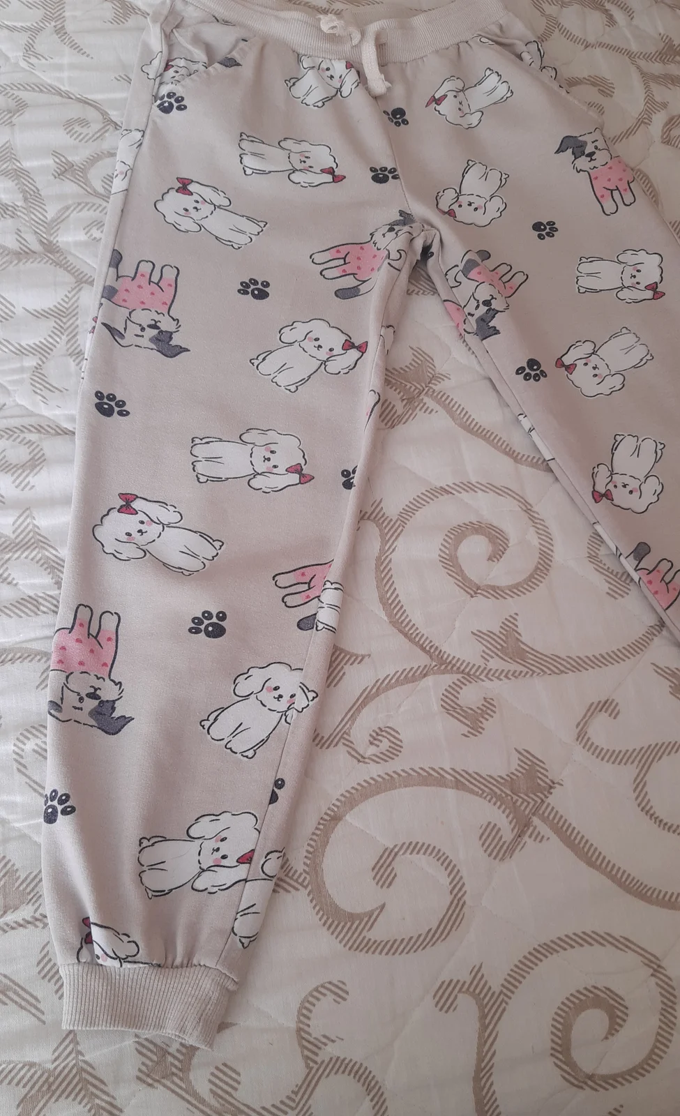 Trenerka sa kucama