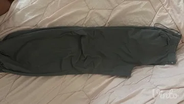 Sive pantalone (djubretarke)