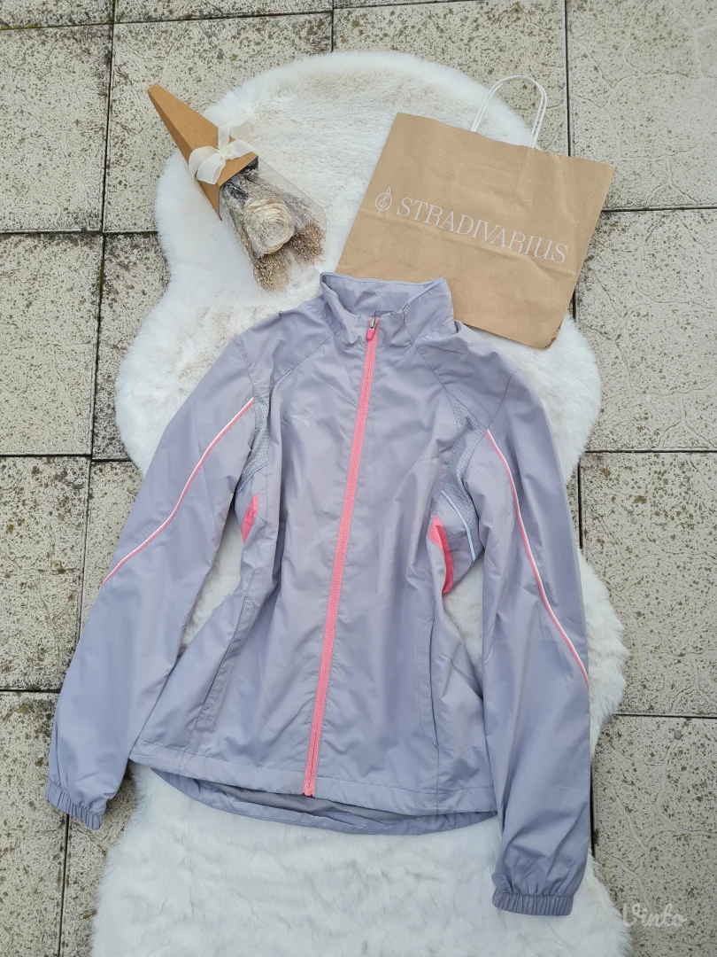 Anta sivi šuškavac S