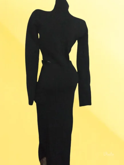 VRHHH3 IN 1 BLUZA-SUKNJA-HALJINA NOVO-S-M