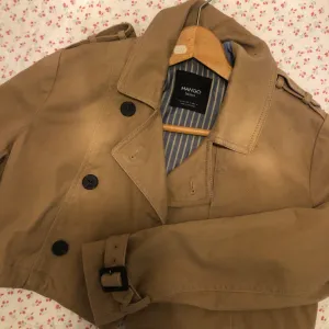 Mango trench