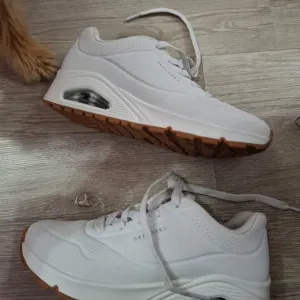 Skechers zenske patike u odlicnom stanju
