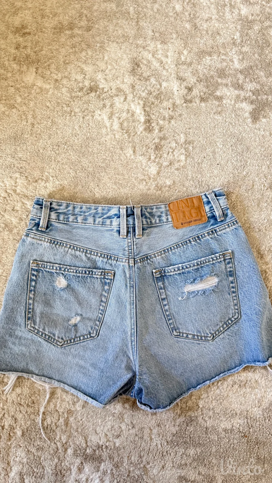 stradivarius sorc