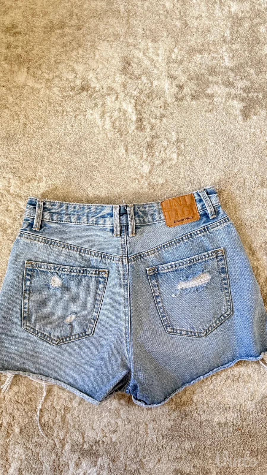 stradivarius sorc
