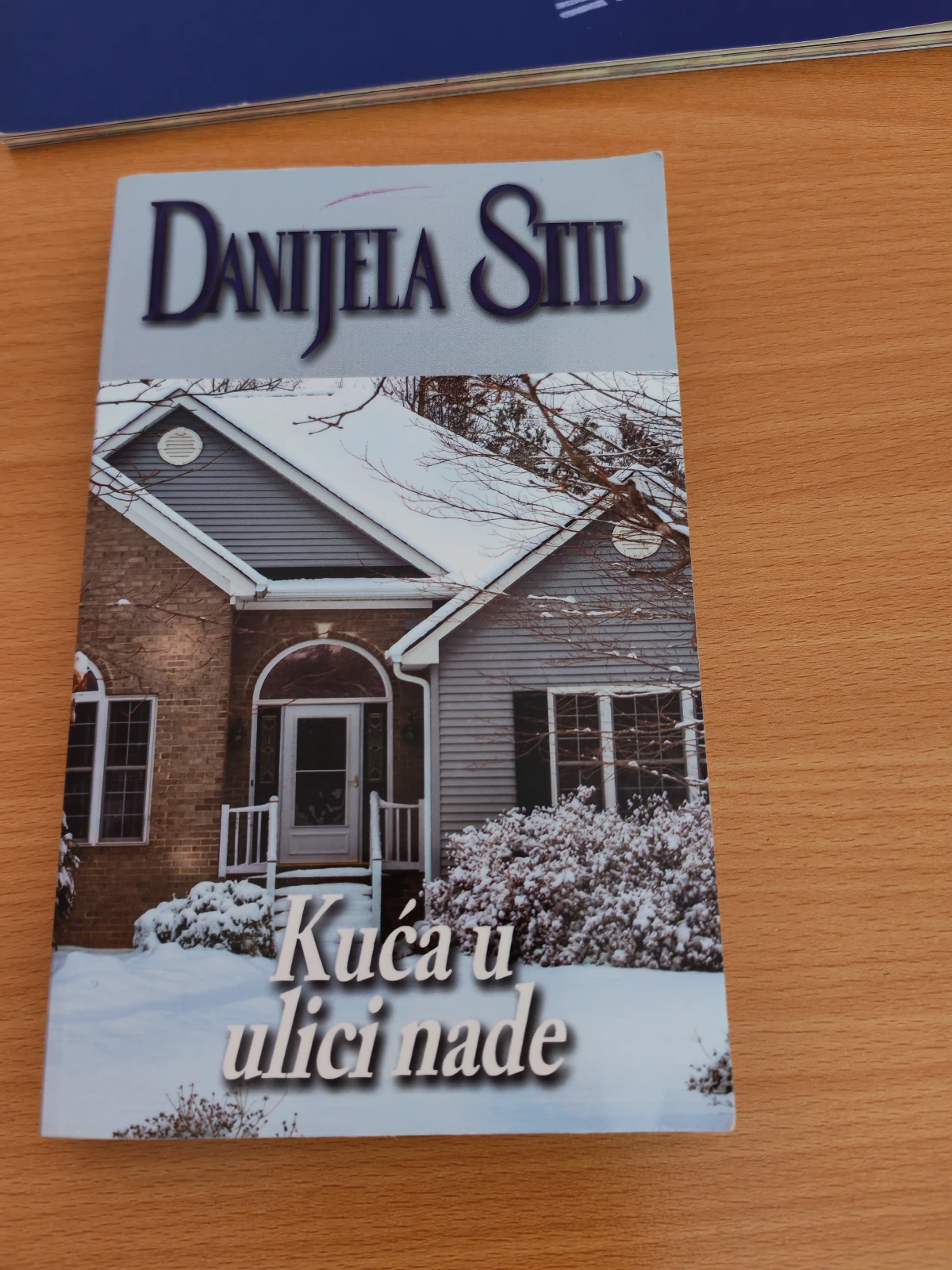 Danijela Stil - Kuća u ulici nade