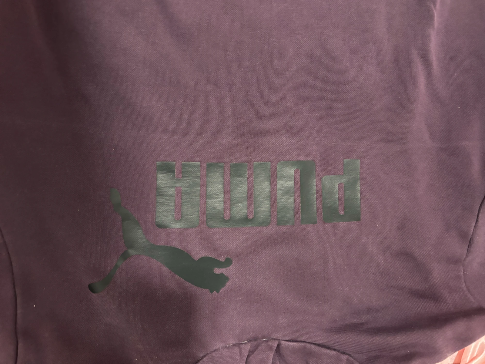 Puma duks