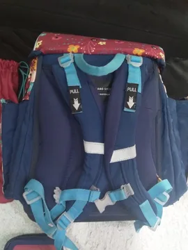 Ranac Minie anatomski