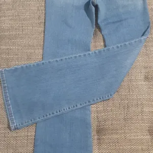 Fioretto w28 zvonarice