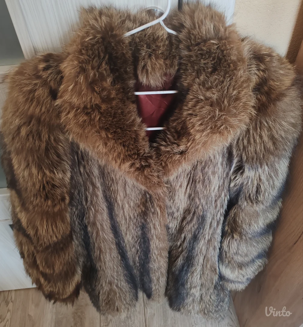 Bunda-prirodno krzno rakuna