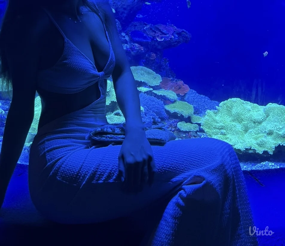 Shein haljina vel. S