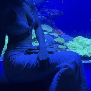 Shein haljina vel. S