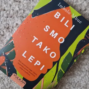 Bili smo tako lepi - Imbolo Mbue
