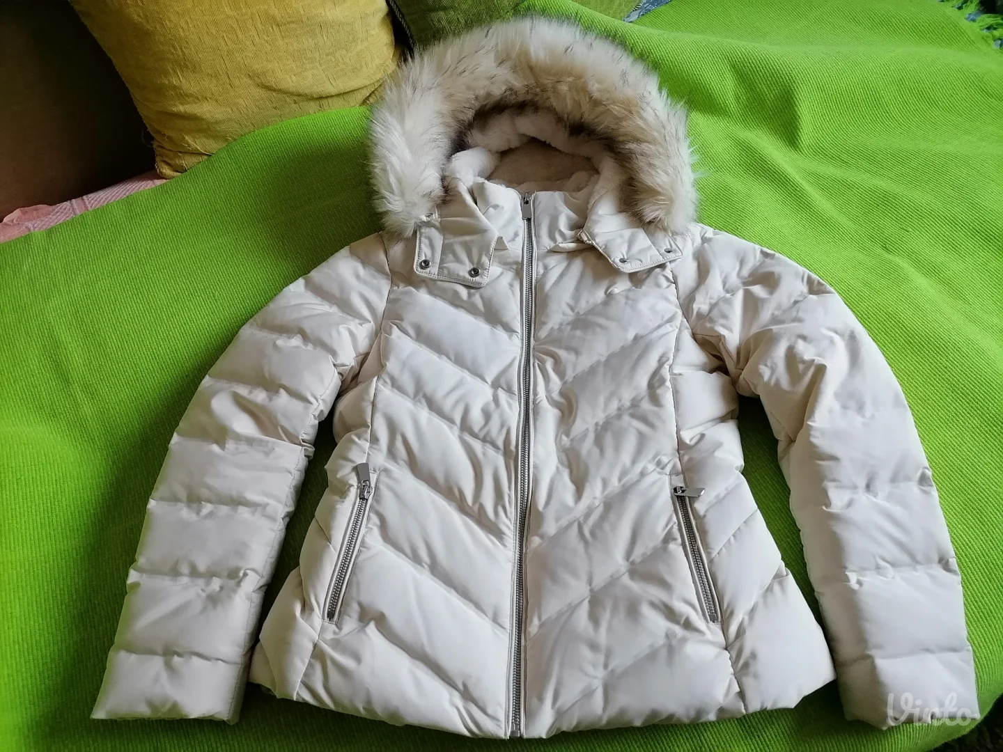 Nova perjana kratka jaknica Zara L