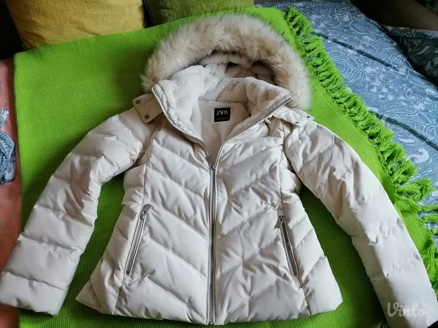 Nova perjana kratka jaknica Zara L