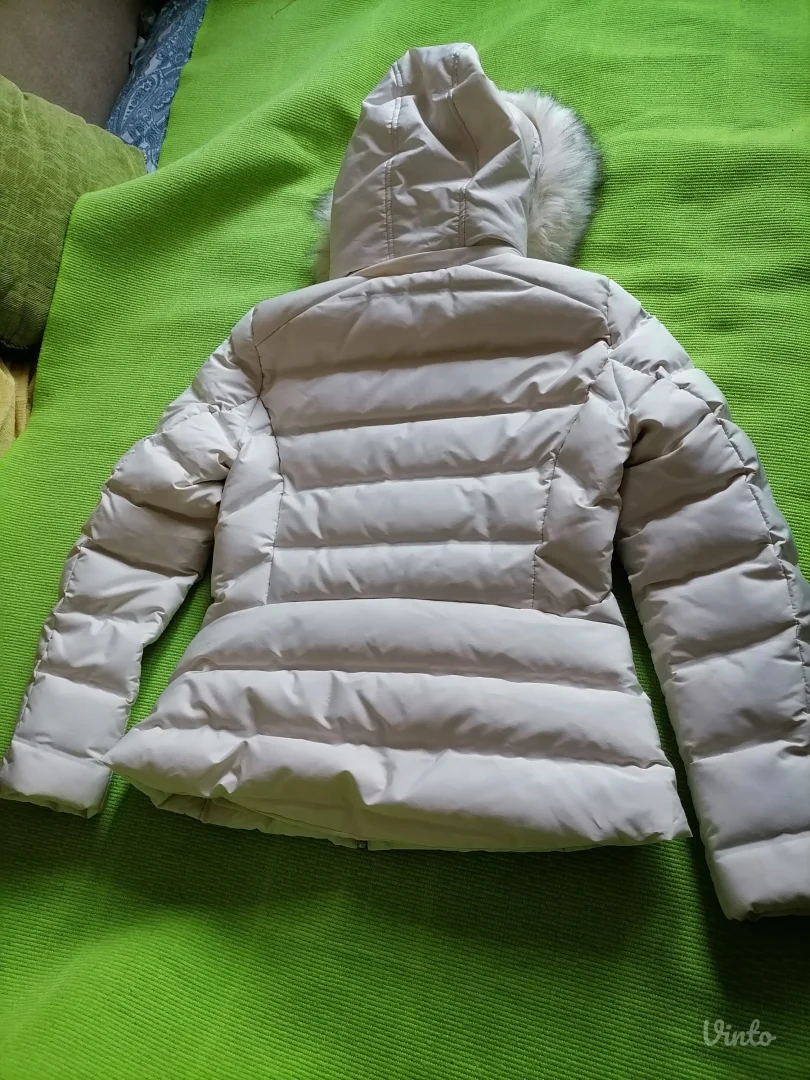 Nova perjana kratka jaknica Zara L