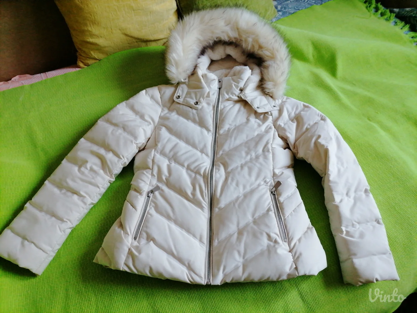 Nova perjana kratka jaknica Zara L