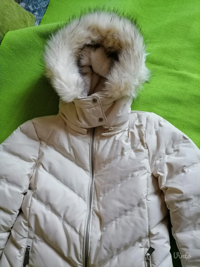 Nova perjana kratka jaknica Zara L