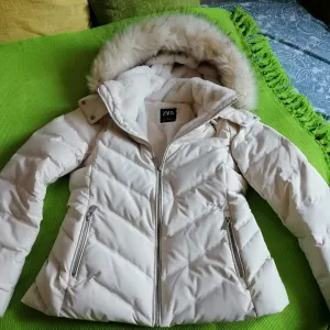 Nova perjana kratka jaknica Zara L