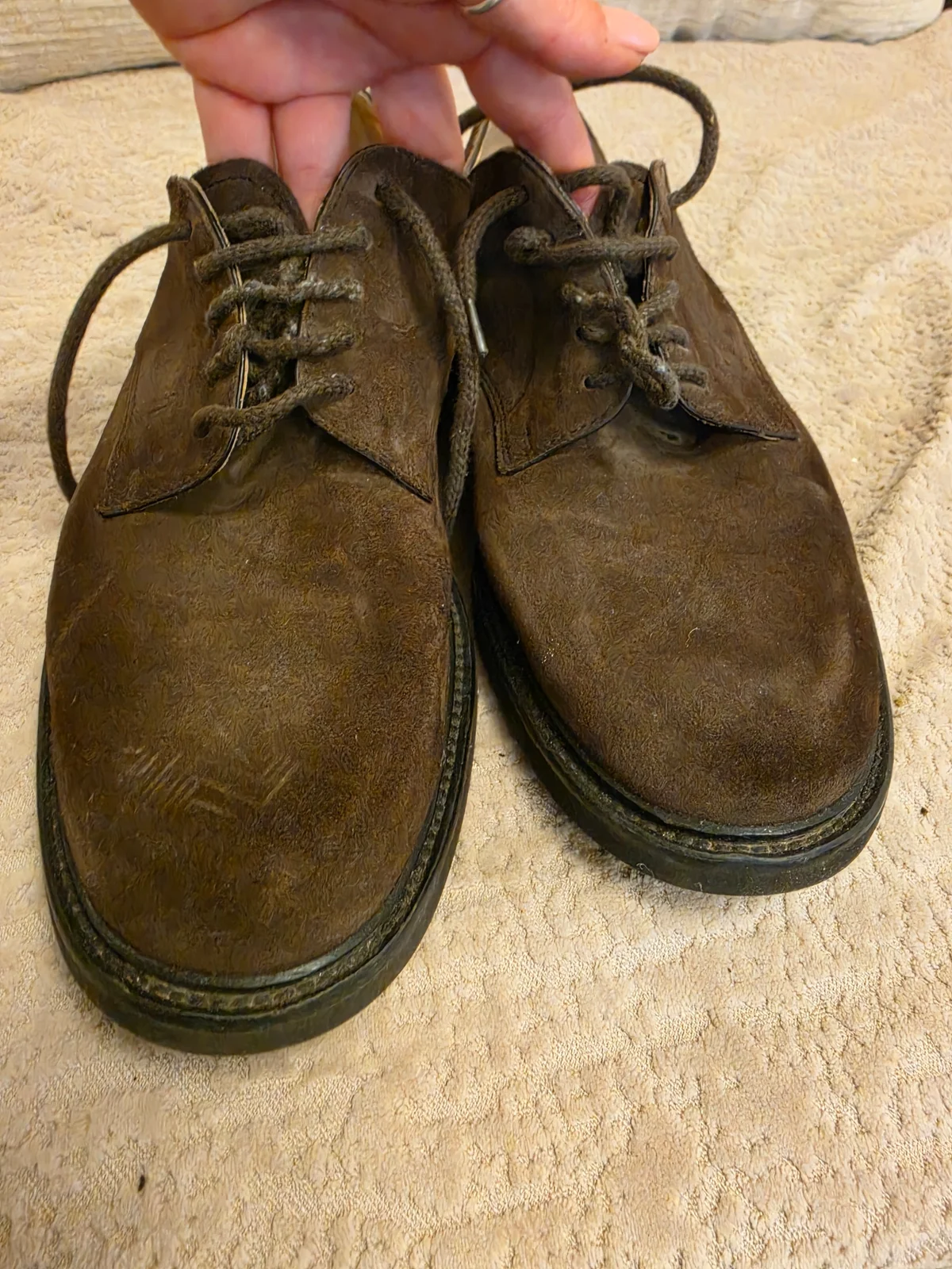 Tods muske cipele