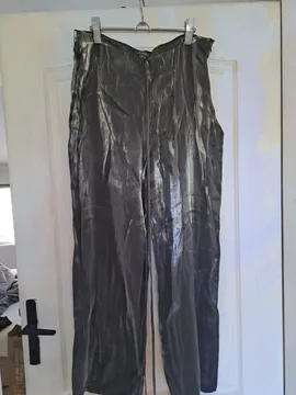 Srebrne pantalone