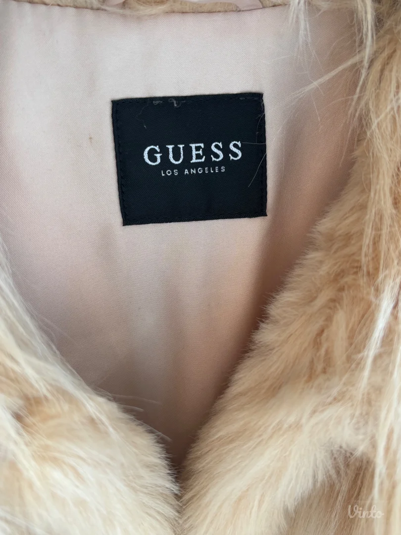 guess bundica
