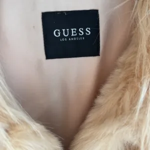guess bundica
