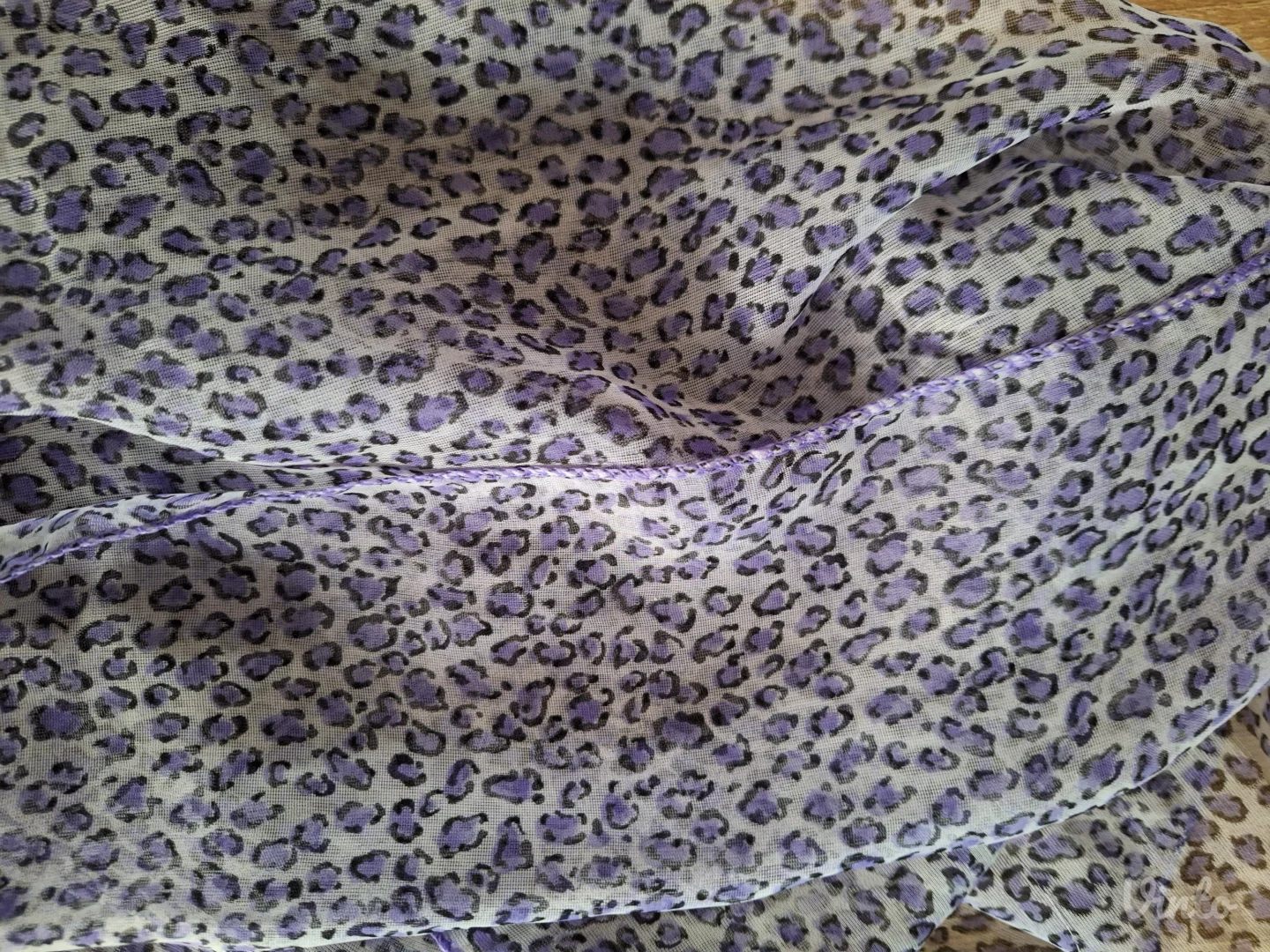 Ljubicasta leopard marama