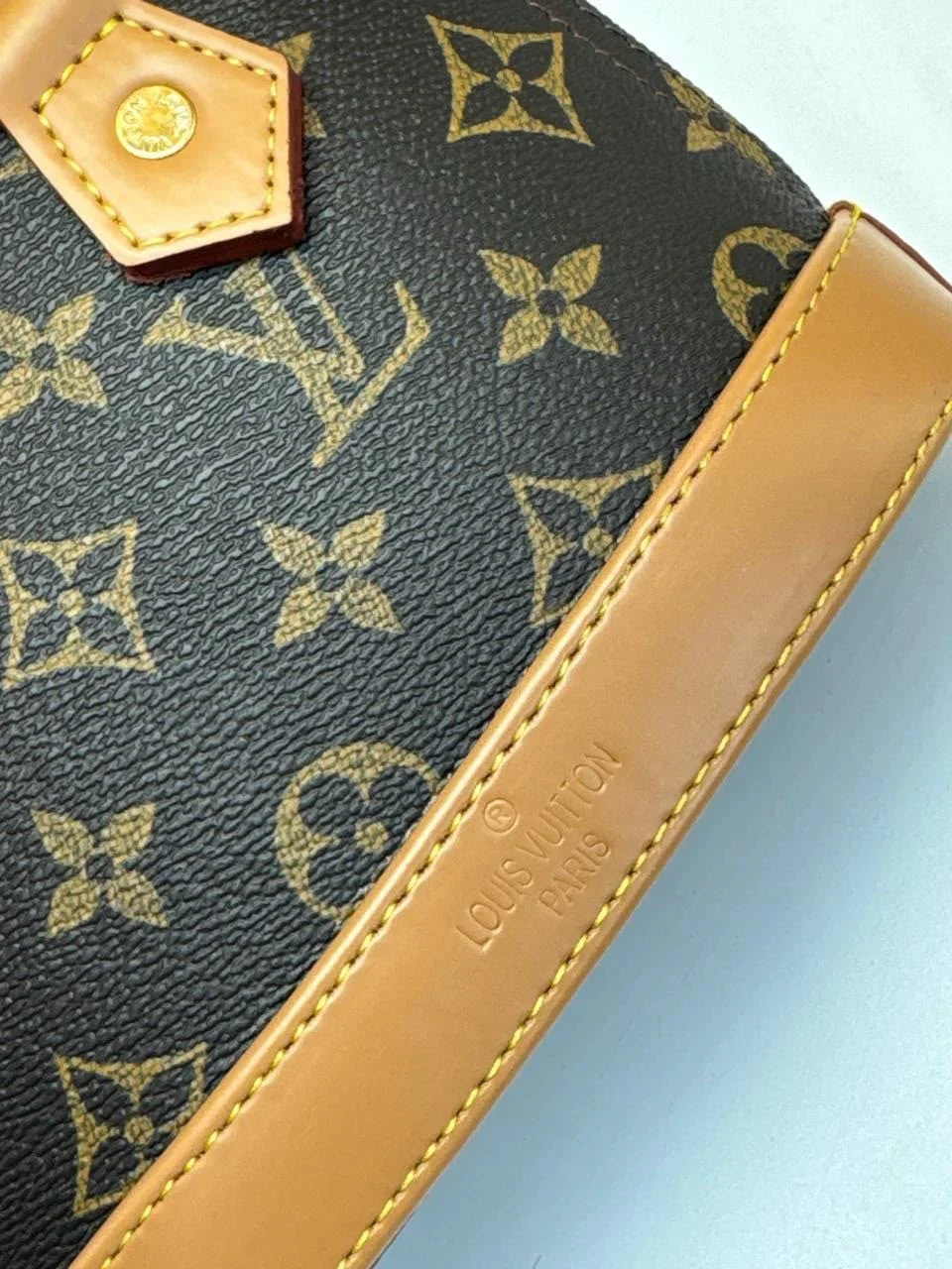 Louis Vuitton torbice