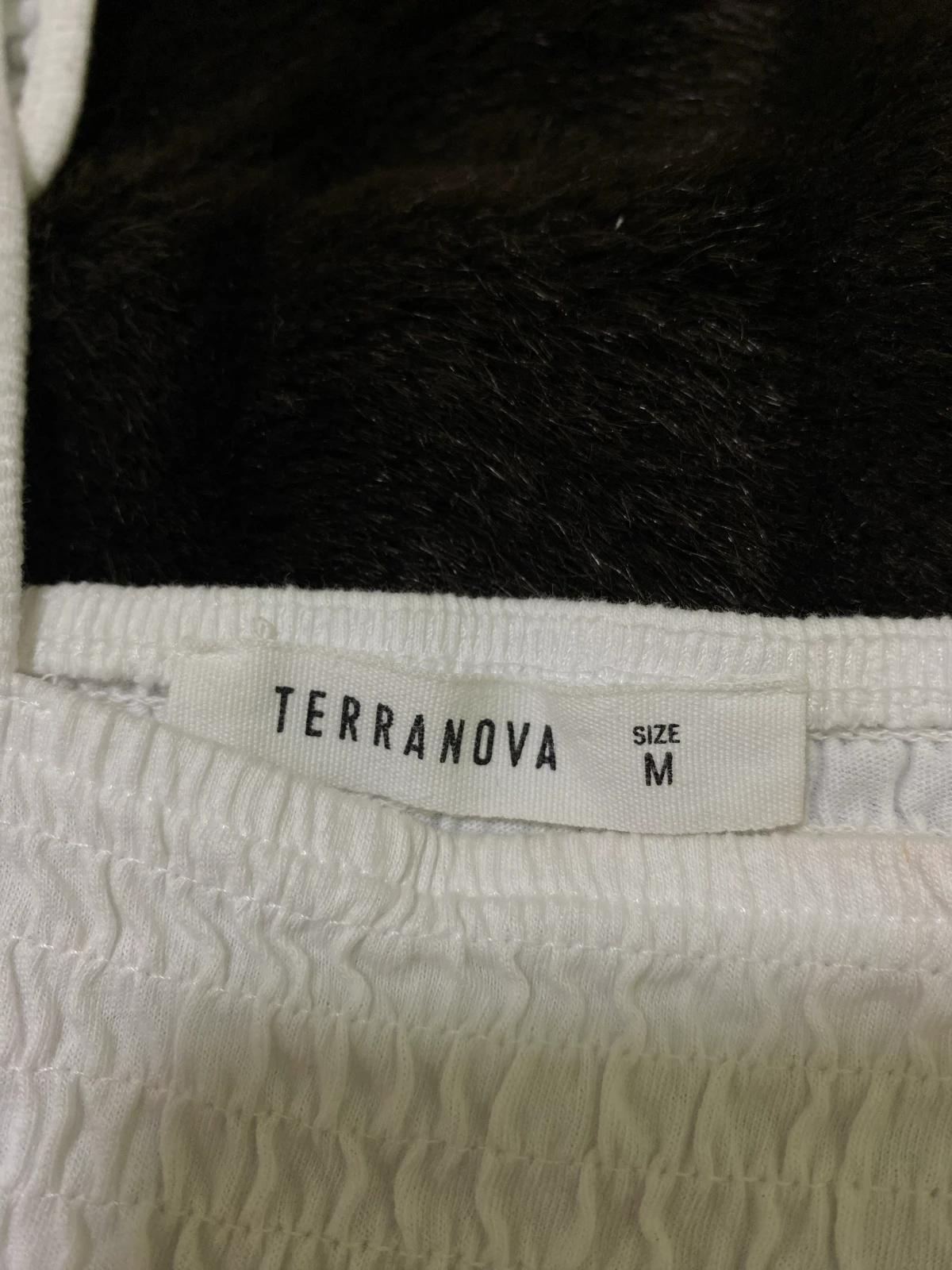 Terranova top