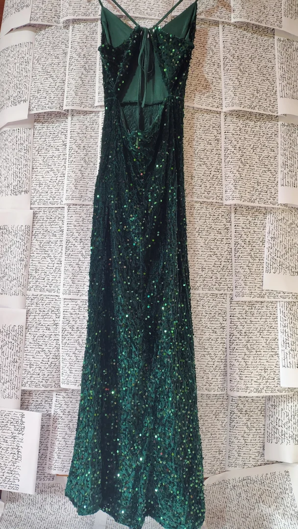 Svečana dugačka haljina sa šljokicama